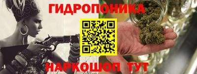 шишки Гусь-Хрустальный